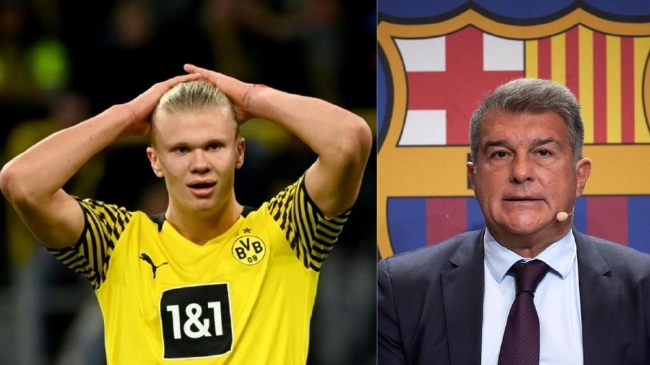 辽宁大胜南京，王岚嵚对老东家打出最强一战，杨鸣高情商表态＂